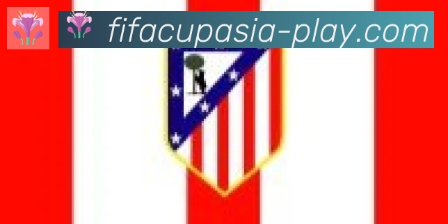 FIFA世界杯赛事官方网站合作伙伴